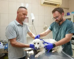 Gaziemir Belediyesi’nden 6 bin 222 can dosta şefkat eli