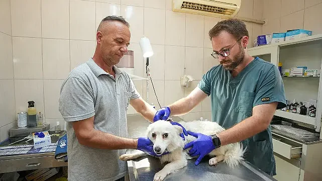 Gaziemir Belediyesi’nden 6 bin 222 can dosta şefkat eli