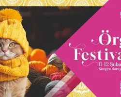 Örgü Tutkunu Kadınlar Bu Festivali Çok Sevecek