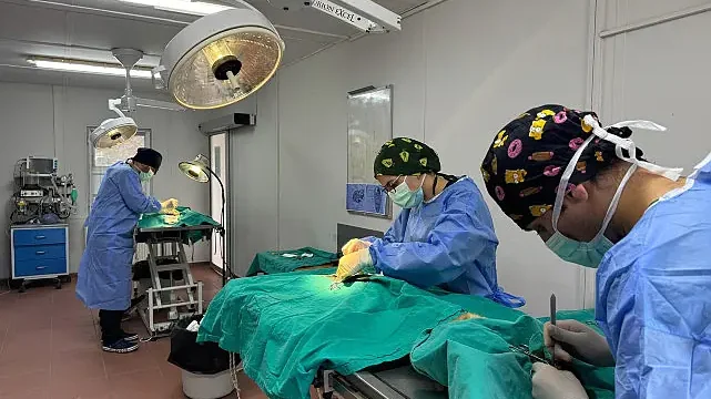 Osmangazi’de ayda ortalama 200 kedi kısırlaştırılıyor