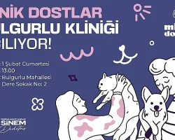 Üsküdar’da Minik Dostlar Bulgurlu Kliniği Açılıyor
