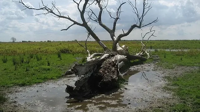 Ekosistemlerin Kırılganlığına Sinema Merceğinden Bir Bakış Cinema Ecologica Seçkisi Akbank Sanat’ta