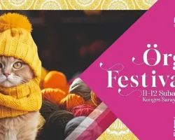 Gölcük Belediyesi Örgü Festivali Yarın Başlıyor