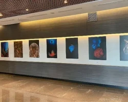“Okyanusların Mirası” Sualtı Fotoğraf Sergisi Memorial Sanat Galerisi’nde
