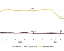 Tüik: İstihdam endeksi yıllık %2,6 arttı