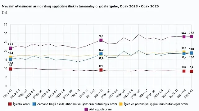 Tüik: Mevsim etkisinden arındırılmış işsizlik oranı %8,4 seviyesinde gerçekleşti