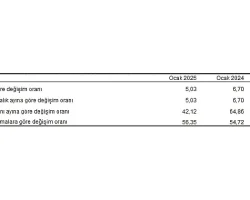 Tüik: Tüketici fiyat endeksi (TÜFE) yıllık %42,12, aylık %5,03 arttı