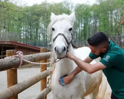 Bayramda doğanın kalbi Ormanya’da atacak