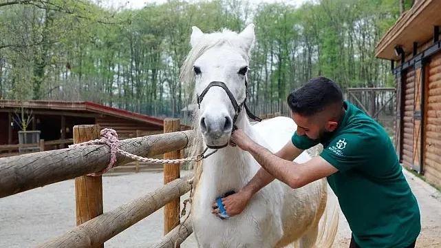 Bayramda doğanın kalbi Ormanya’da atacak