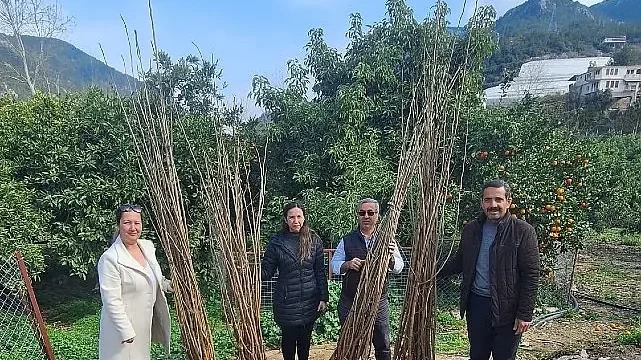 Büyükşehir’den dut fidanı desteği