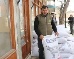 Büyükşehir’in üreticilere yem desteği sürüyor