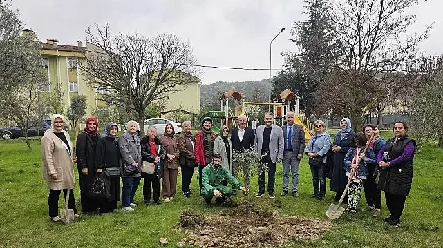 Gölcük’te Orman Haftasında Zeytin Ağaçları Toprakla Buluştu