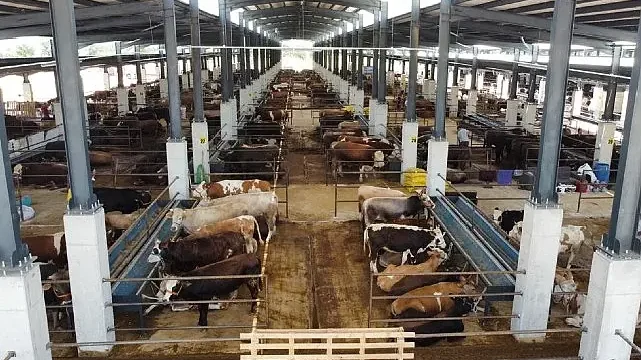 İnegöl Hayvan Pazarı’nın Kotra İhale Tarihi Belli Oldu