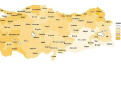 İşgücü İstatistikleri, 2024