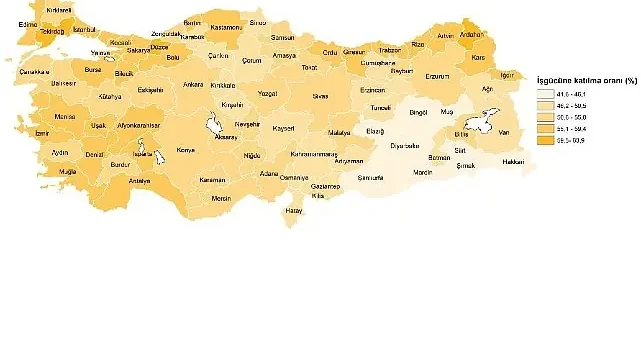 İşgücü İstatistikleri, 2024