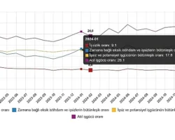 İşgücü İstatistikleri, Şubat 2025