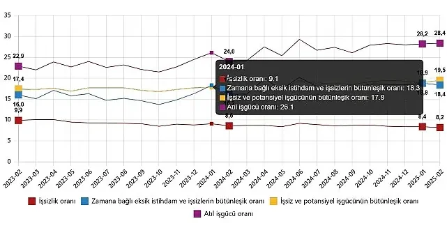 İşgücü İstatistikleri, Şubat 2025