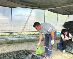Seferihisar Belediyesi Tohum Takas Şenliği’ne hazırlanıyor