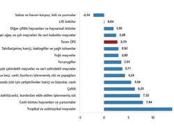 Tarım Ürünleri Üretici Fiyat Endeksi, Şubat 2025