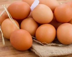 Yumurtaya getirilen 1,5 dolar fon aceleyle alınmış ihracatı durduracak bir karar