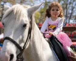 Saraçhane’de “Özgürlük ve Demokrasi Şenliği” Coşkusu Devam Ediyor