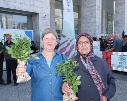 310 bin fide Nilüfer’de vatandaşlara dağıtıldı
