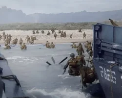 4 Bölümlük Seri ‘Batı Cephesi: Son Perde’ 25 Mayıs Pazar 21.00’de National Geographic Ekranlarında!