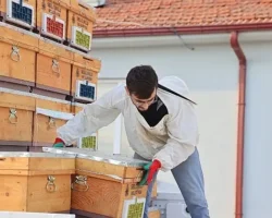 Arılı Kovan Desteği Projesi’nin 3. Yılında Üreticilere Arı ve Kovanları Dağıtıldı