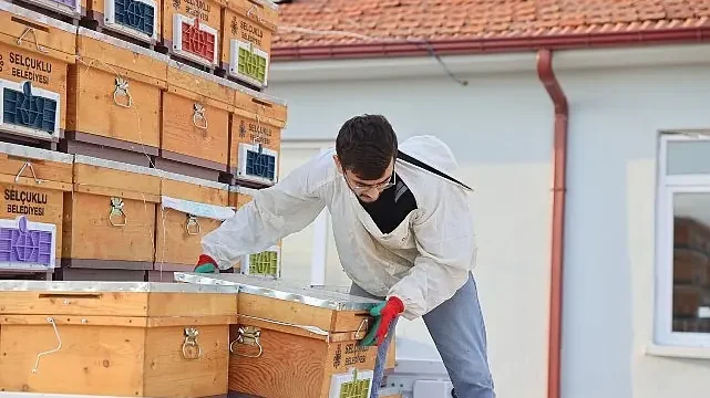 Arılı Kovan Desteği Projesi’nin 3. Yılında Üreticilere Arı ve Kovanları Dağıtıldı