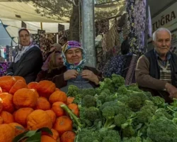 Bahar ayında çilek ve domates zirvede