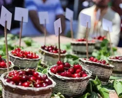 Başkan Görkem Duman’dan Kiraz Festivali’ne davet