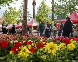 Bayındır 26. Uluslararası Çiçek Festivali’nin ilk Günü Dolu Dolu Geçti