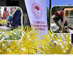 Beydağ’da Kozalar İpek Açtı