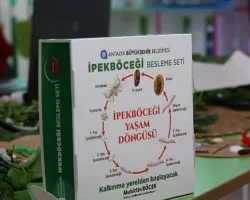 Büyükşehir çocukları ipekböceği ile tanıştırıyor
