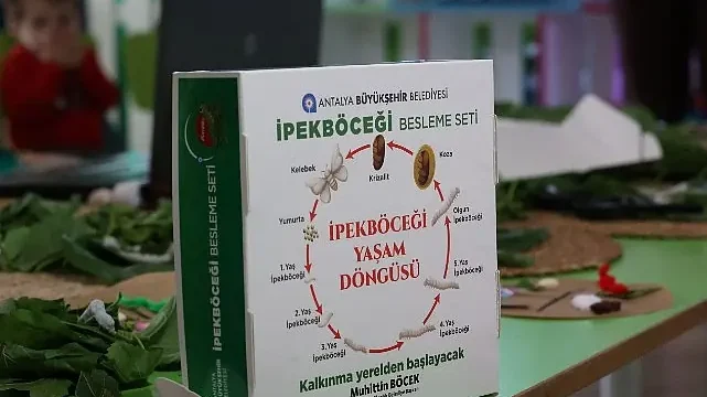 Büyükşehir çocukları ipekböceği ile tanıştırıyor