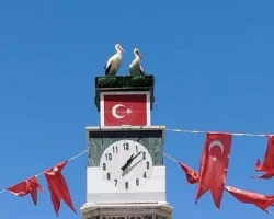 Can ve Canan Leylek Yuvalarına Geldi