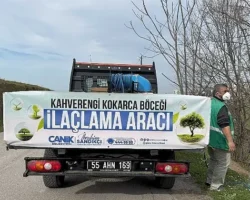 Canik’te Kokarca Böceğine Karşı Mücadelede Atak