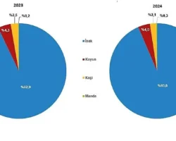 Çiğ Süt Üretim İstatistikleri, 2024