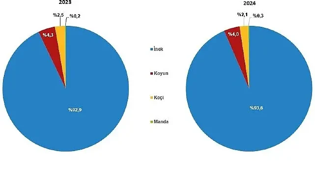 Çiğ Süt Üretim İstatistikleri, 2024