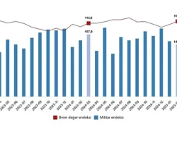 Dış Ticaret Endeksleri, Mart 2025