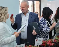 Emiralem Çilek Festivali rekor kırdı: milyonu geçti!