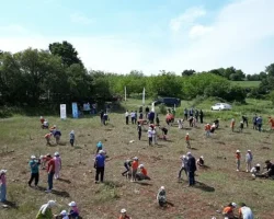 İnegöl’de Çevre Haftasında 150 Fidan Toprakla Buluştu