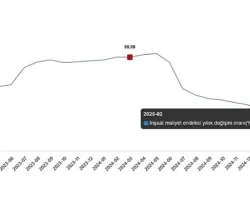İnşaat Maliyet Endeksi, Mart 2025