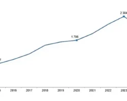 Kırmızı Et Üretim İstatistikleri, 2024