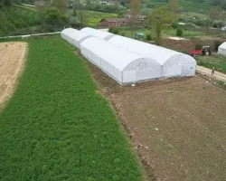 Kocaeli’nde tarım büyüyor, seracılık gelişiyor