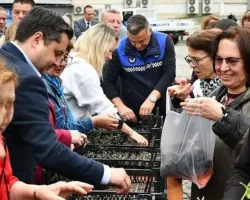 Lüleburgaz Belediyesi’nden vatandaşlara 20 bin adet fide
