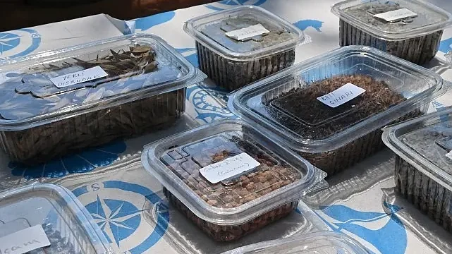 Manisa Tarzanı’nın İzinde Tohumlar Doğayla Buluşacak