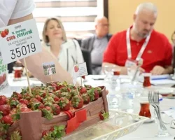 Menemen’de festival coşkusu yaşanacak