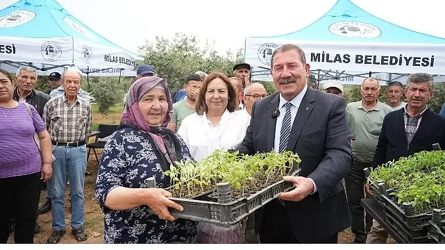 Milas Belediyesi, ata tohumlarını yaşatmak için üreticilere fide dağıtımı gerçekleştirdi