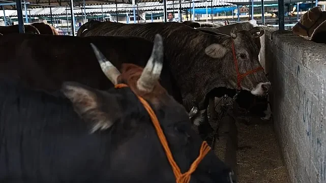 Nilüfer Kurban Bayramı’na hazır